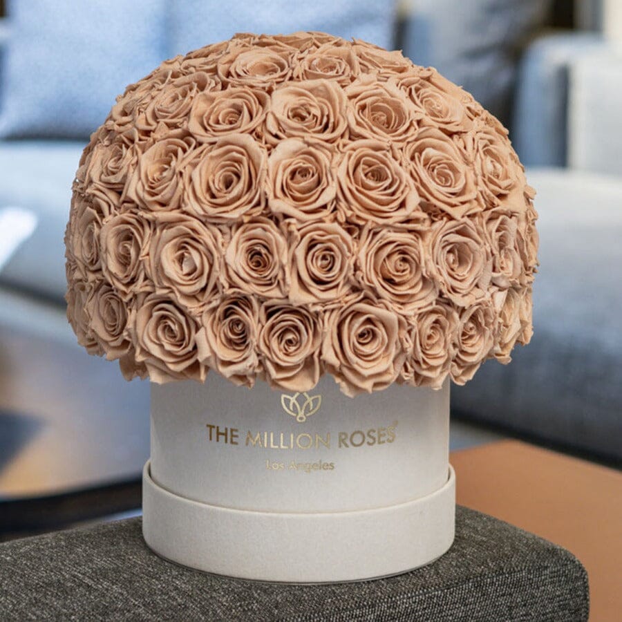 Sandy Beige Roses Beige Suede Roses - Preserved Roses Box | The Million Roses®