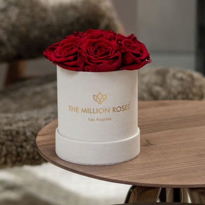 Basic Beige Suede Box | Red Roses - The Million Roses