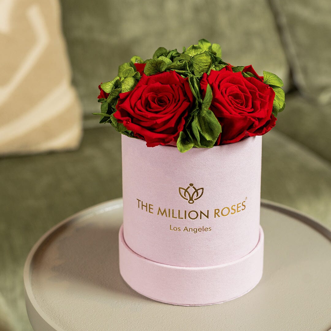 Basic Light Pink Suede Garden Box | Red Roses