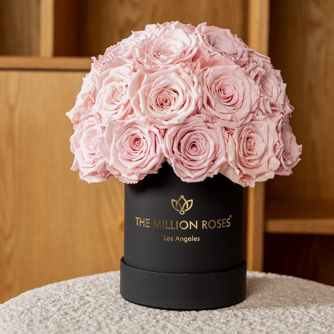 Basic Black Superdome Box | Light Pink Roses