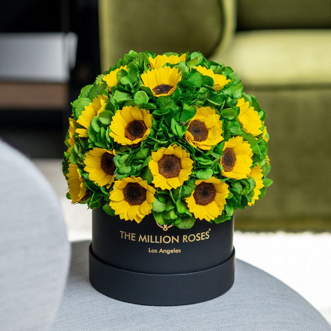 Cutie Neagră Classic | Hortensii verzi și floarea-soarelui