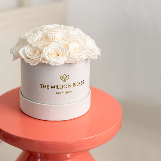 Classic Béžový Suede Dome Box | Bílé růže