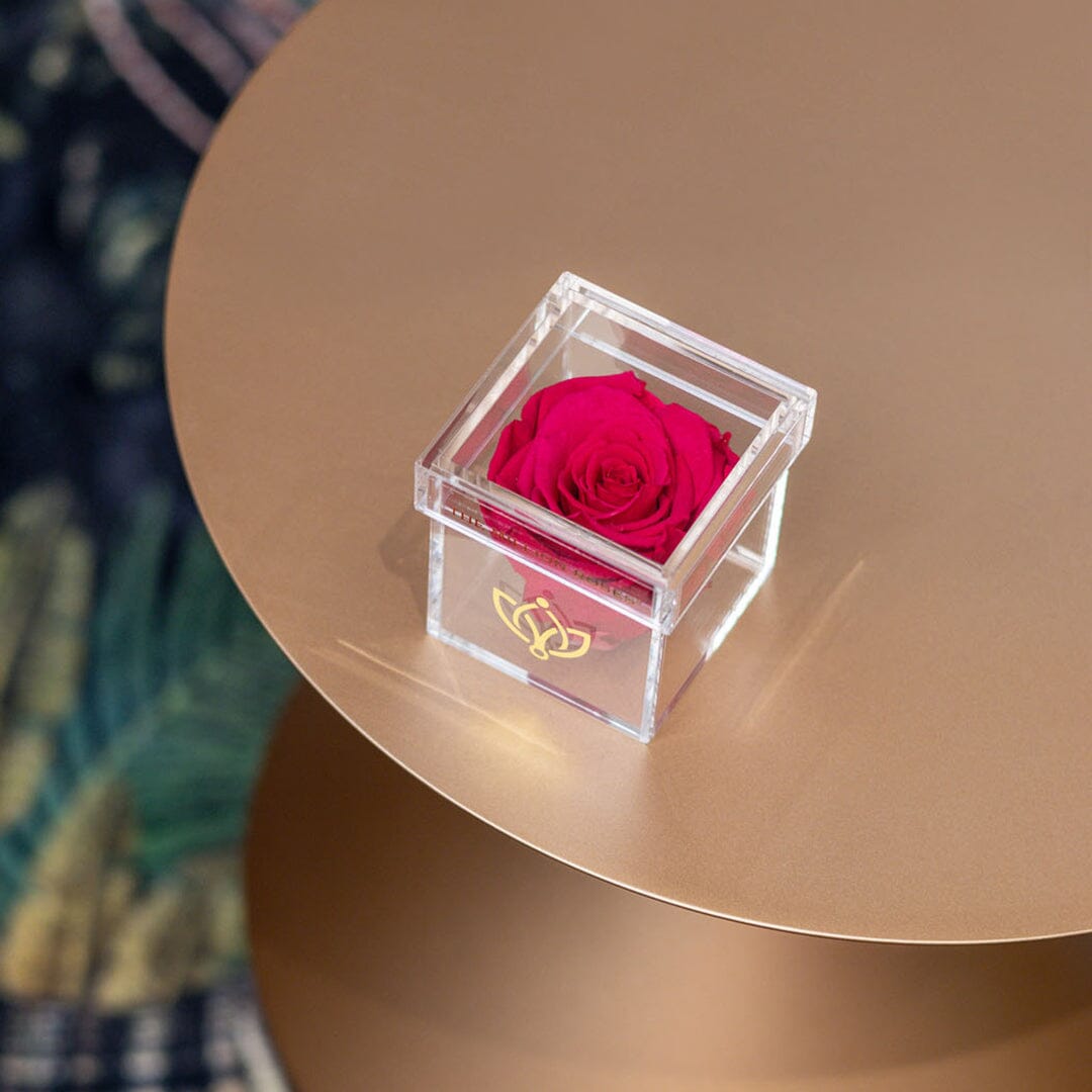 Acrylic Single Box | Hot Pink Rose - The Million Roses