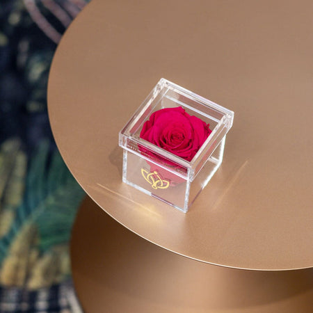 Acrylic Single Box | Sytě růžové růže