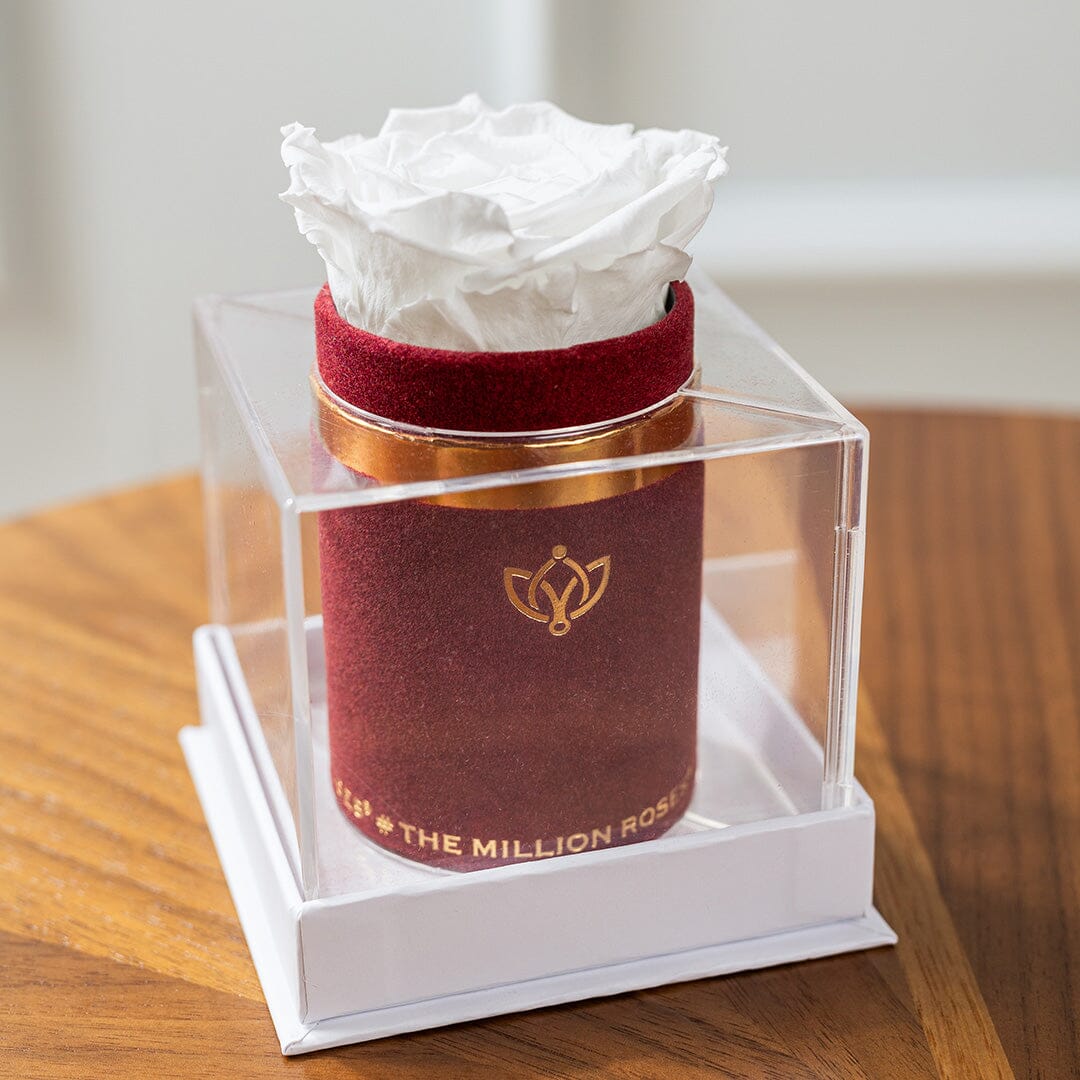 Single Bordeaux Suede Box | White Rose