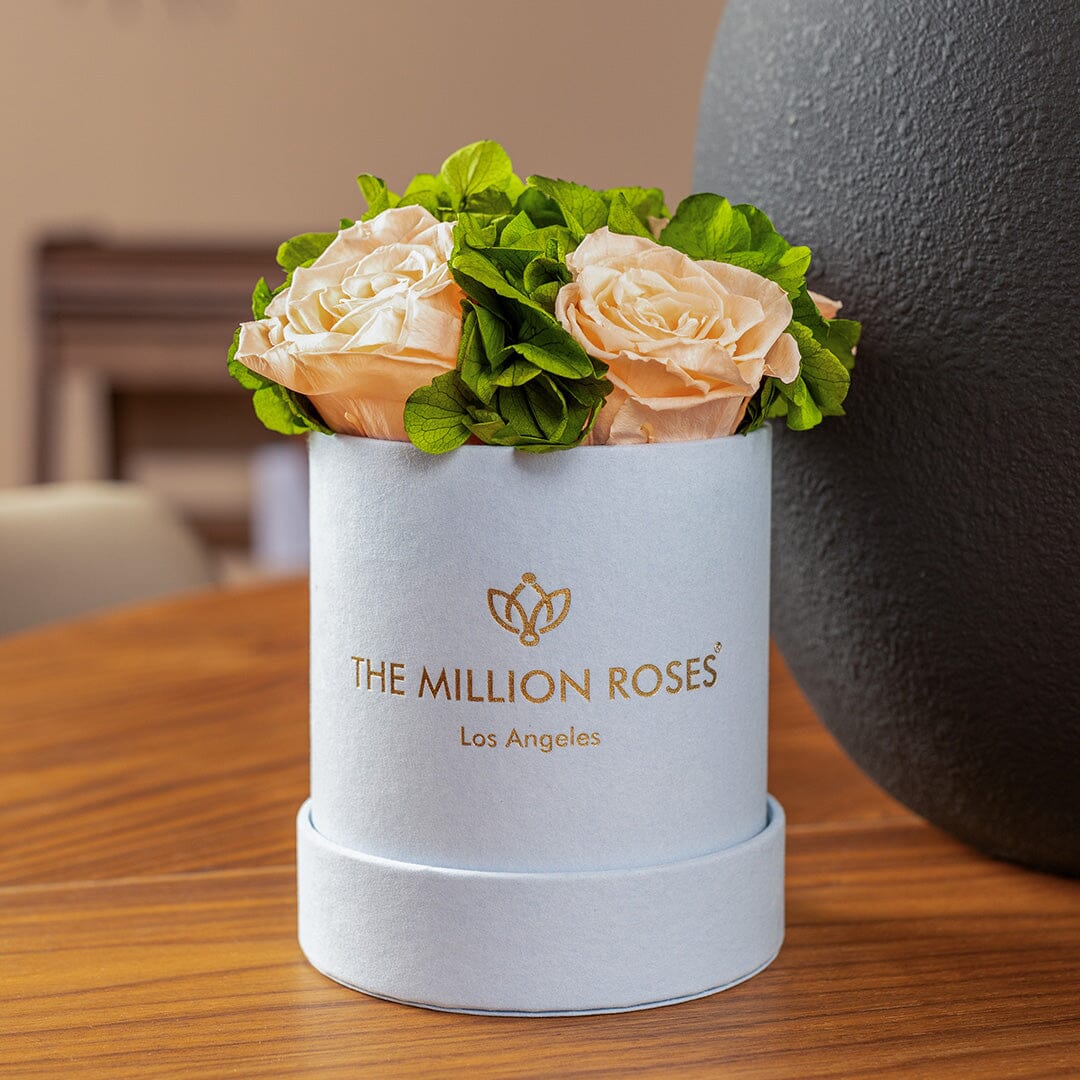 Basic Light Blue Suede Garden Box | Peach Roses