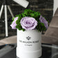 Basic White Garden Box | Lavender Roses