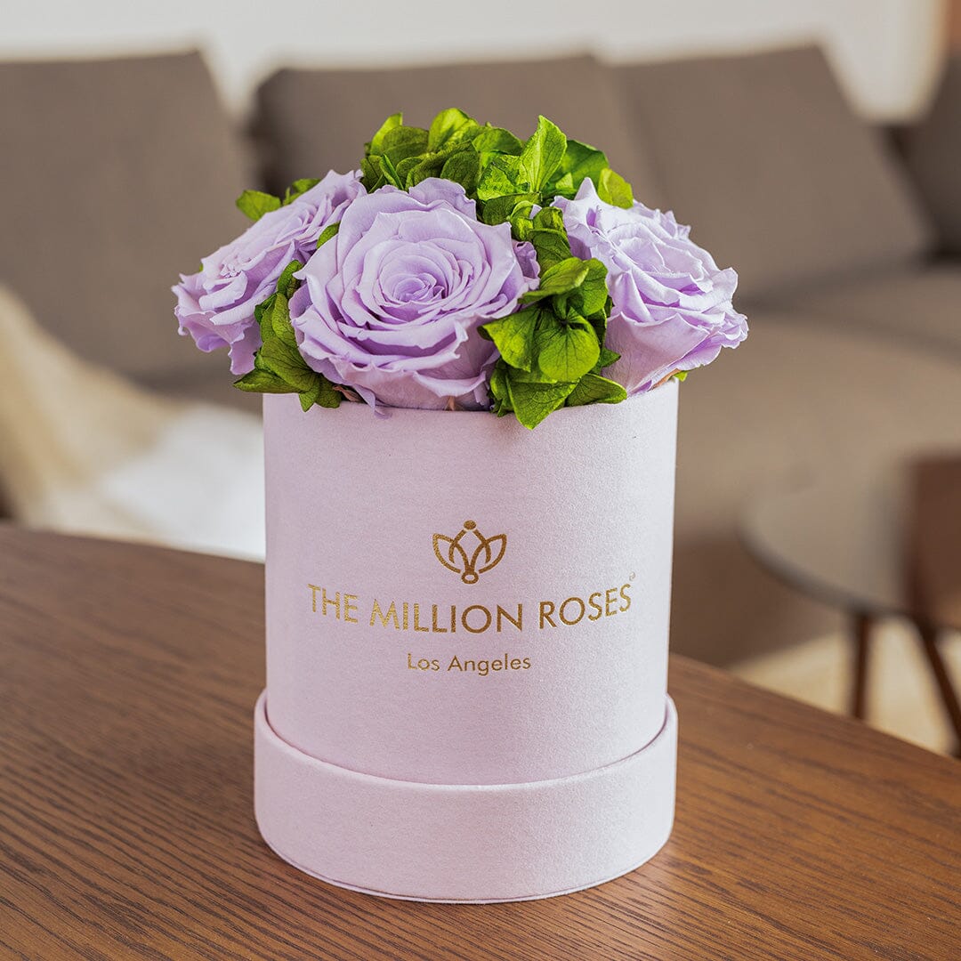 Basic Light Pink Suede Garden Box | Lavender Roses