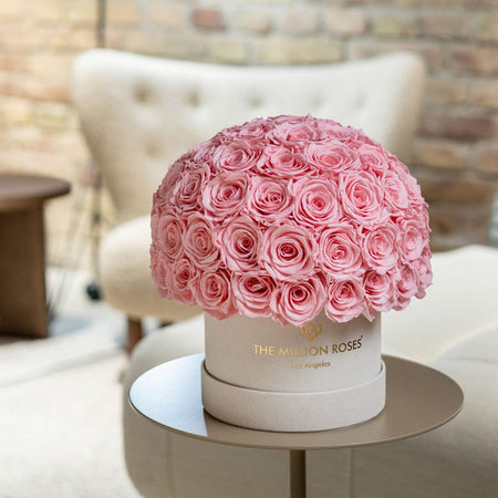 Classic Beige Suede Superdome Box | Light Pink Roses