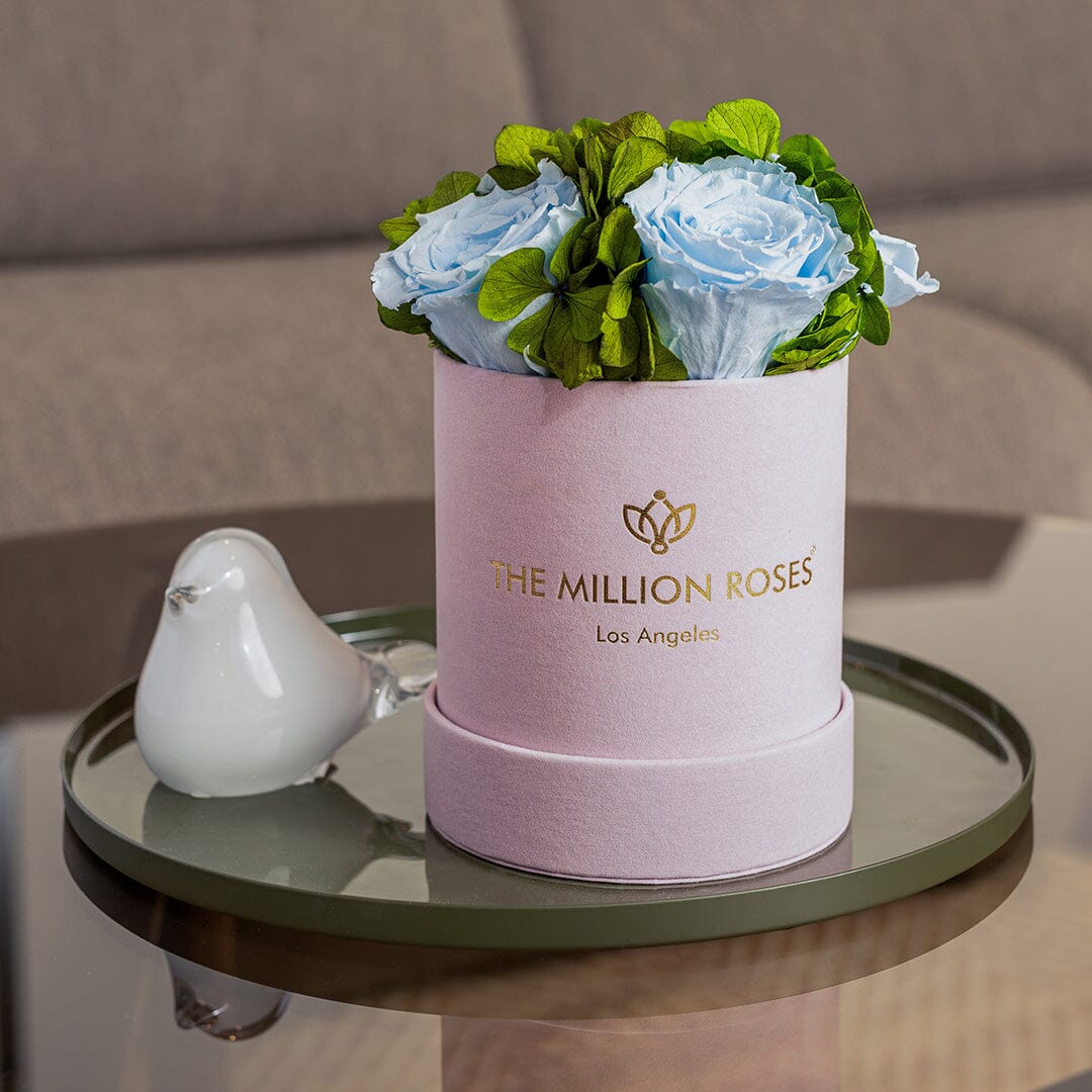 Basic Light Pink Suede Garden Box | Light Blue Roses