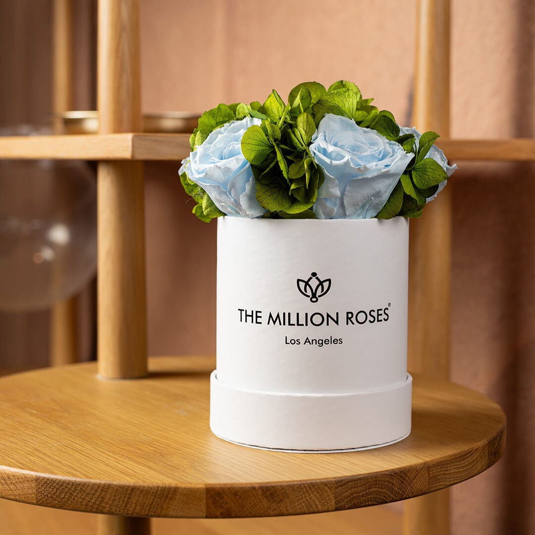 Basic White Garden Box | Light Blue Roses