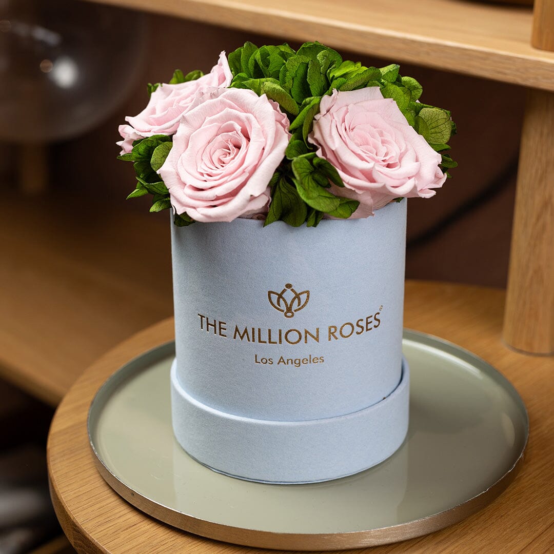 Basic Light Blue Suede Garden Box | Light Pink Roses