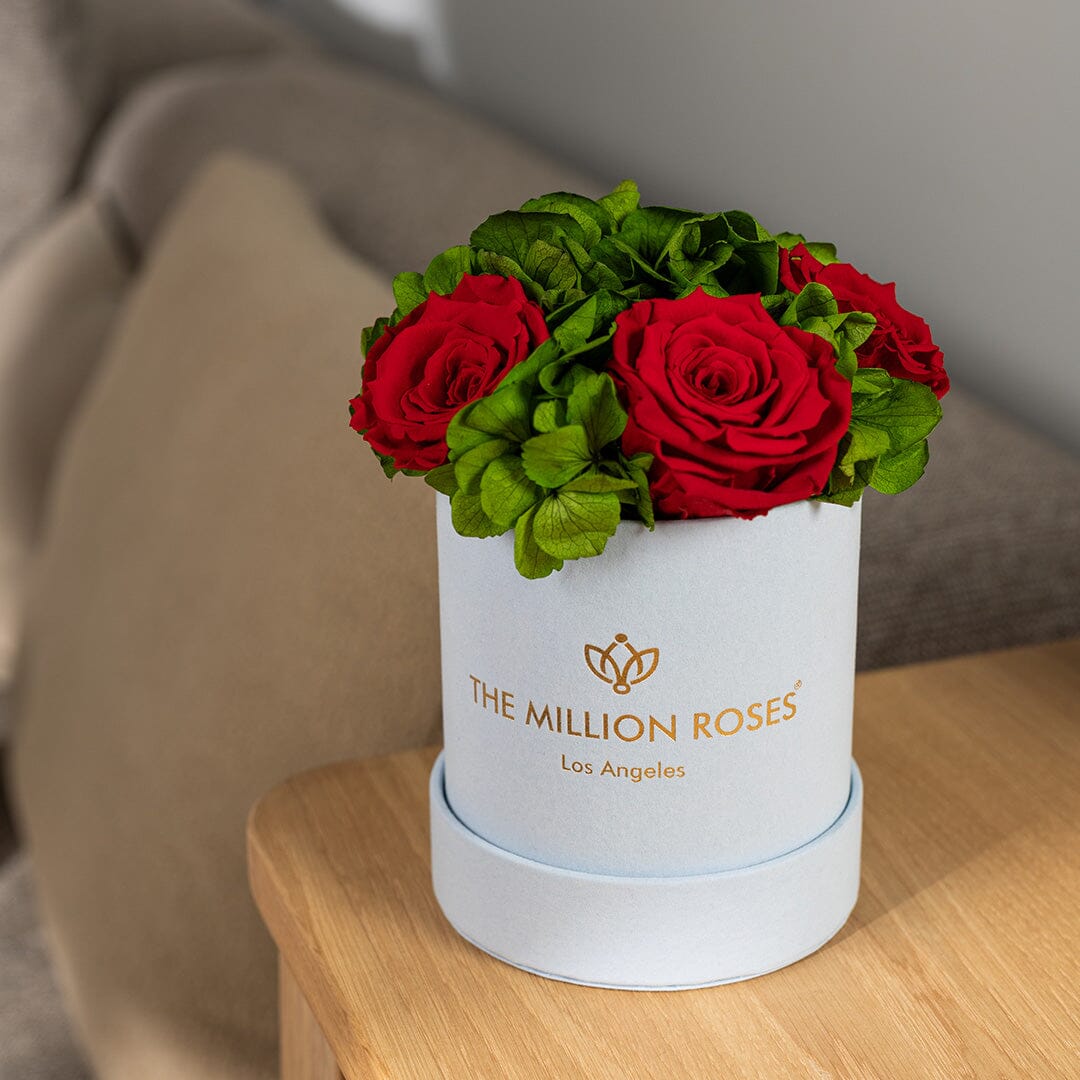 Basic Light Blue Suede Garden Box | Red Roses