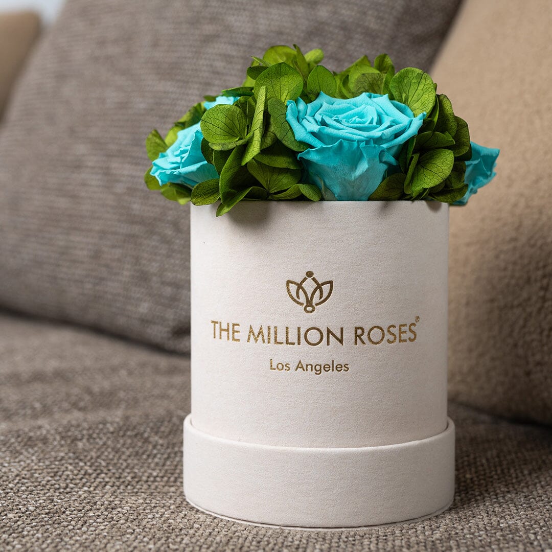 Basic Beige Suede Garden Box | Turquoise Roses