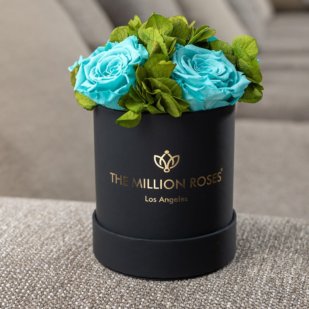 Basic Black Garden Box | Turquoise Roses