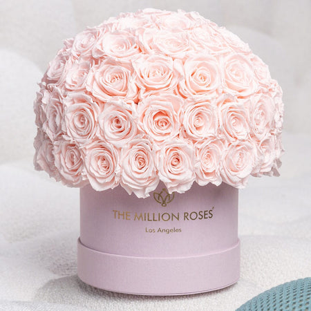 Classic Light Pink Suede Superdome Box | Light Pink Roses