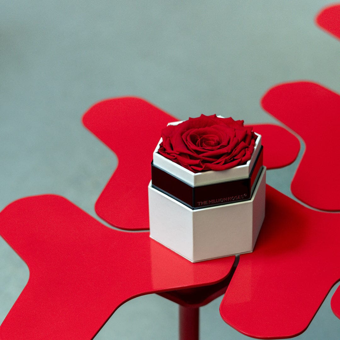 Biely One in a Million™ Hexagon Box | Červená ruža