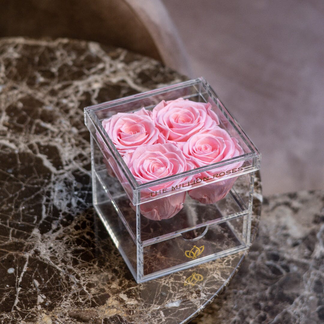 Boîte Acrylique Tiroir | 4 Roses Rose Pâle