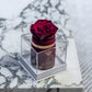 Single Bordeaux Suede Box | Burgundy Rose