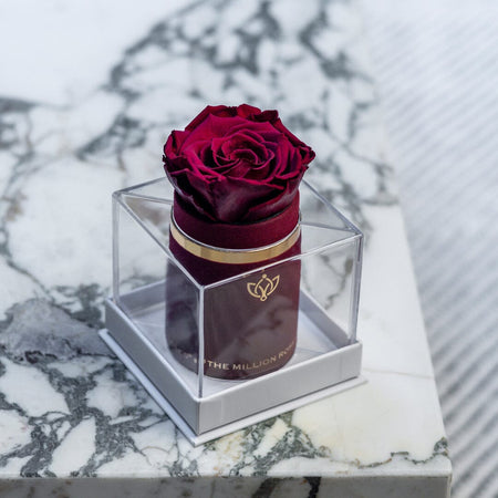 Single Bordeaux Suede Box | Burgundy Rose