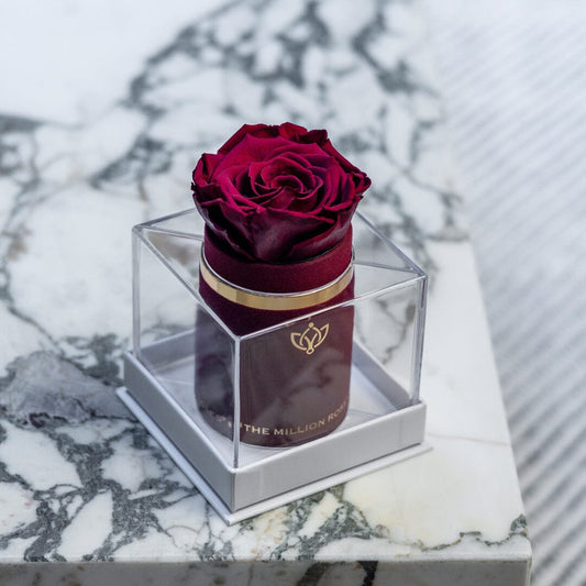 Single Bordový Suede Box | Burgundská růže