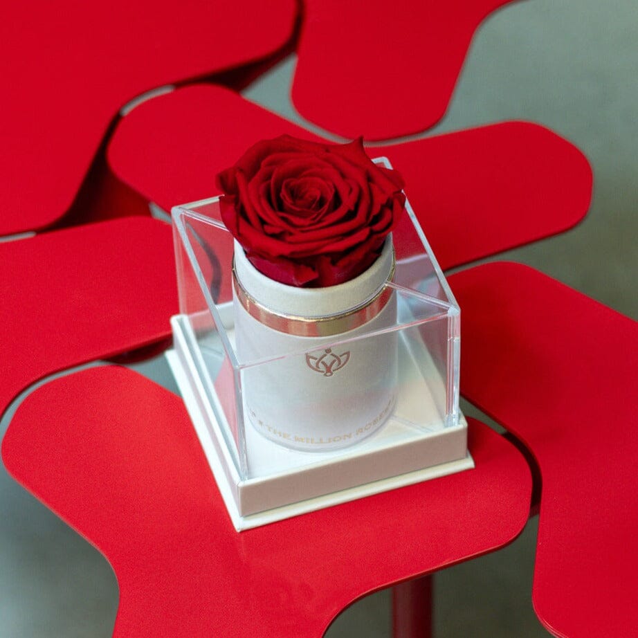 Cutie de piele întoarsă albă Single | Trandafir roșu