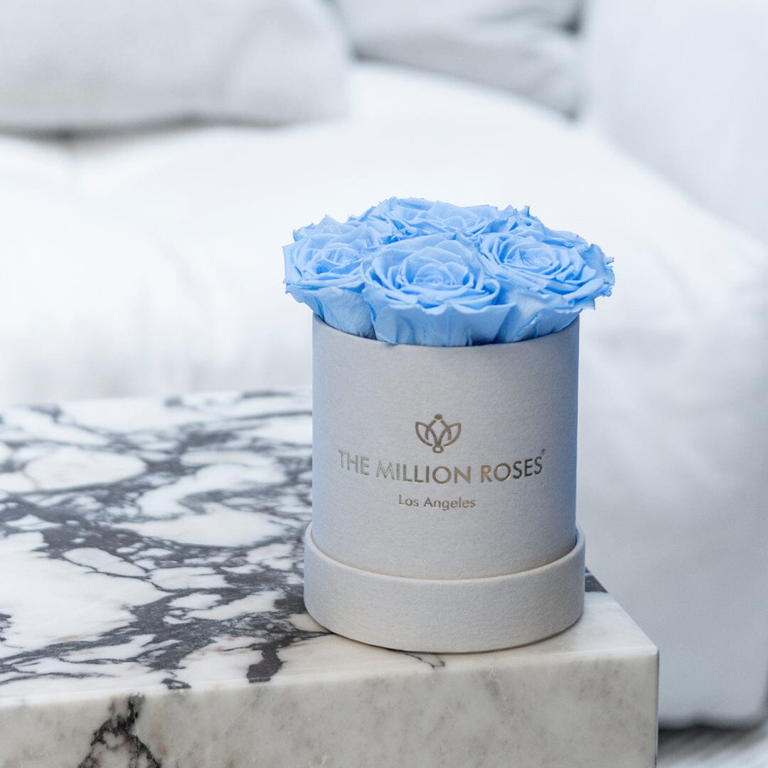 Basic Béžový Suede Box | Svetlo modré ruže