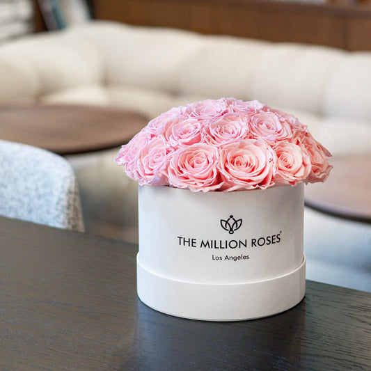 Bílý Classic Dome Box | Světle růžové růže