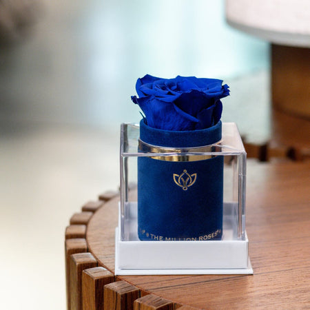 Cutie de piele întoarsă albastru regal Single | Trandafir albastru regal