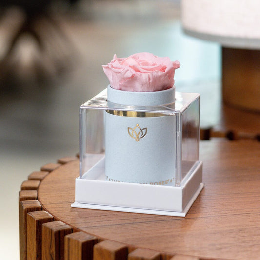 Cutie de piele întoarsă albă Single | Trandafir roz bombon