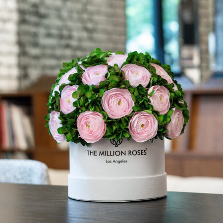 Classic White Box | Light Pink Persian Buttercups & Green Hydrangeas