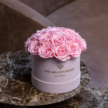 Classic Light Pink Suede Dome Box | Light Pink Roses