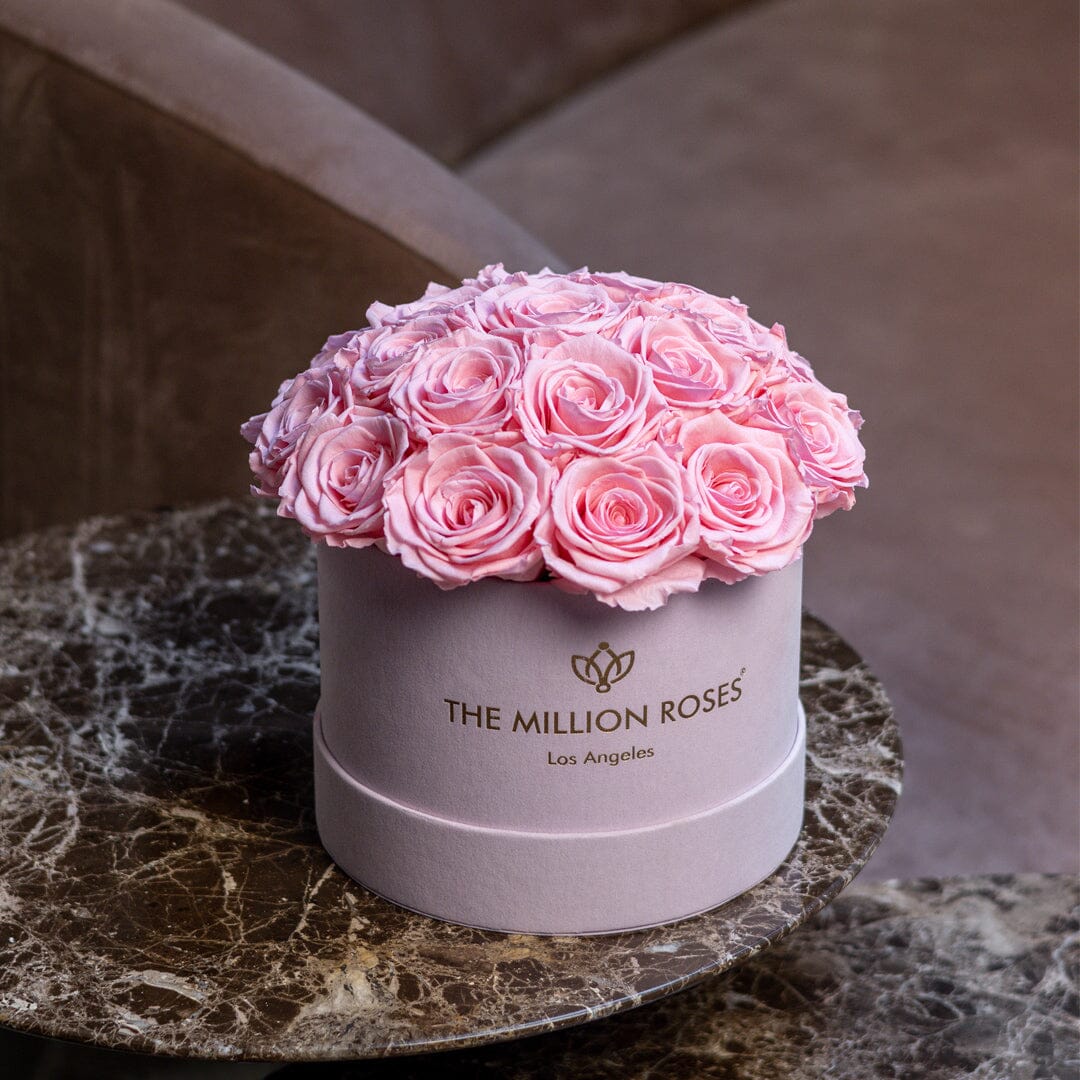 Cutie de piele întoarsă roz deschis Classic Dome | Trandafiri roz deschis