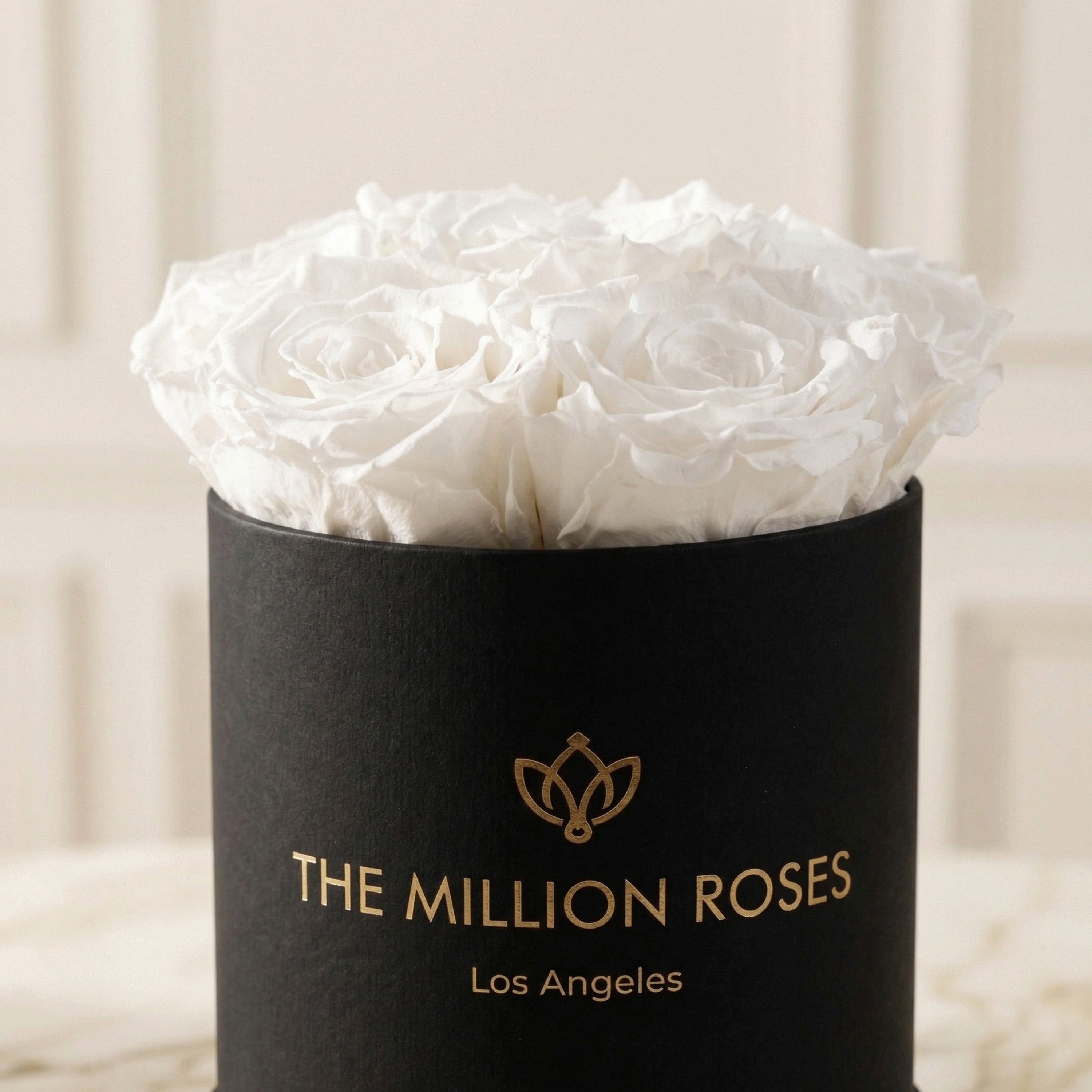Basic Black Box | White Roses