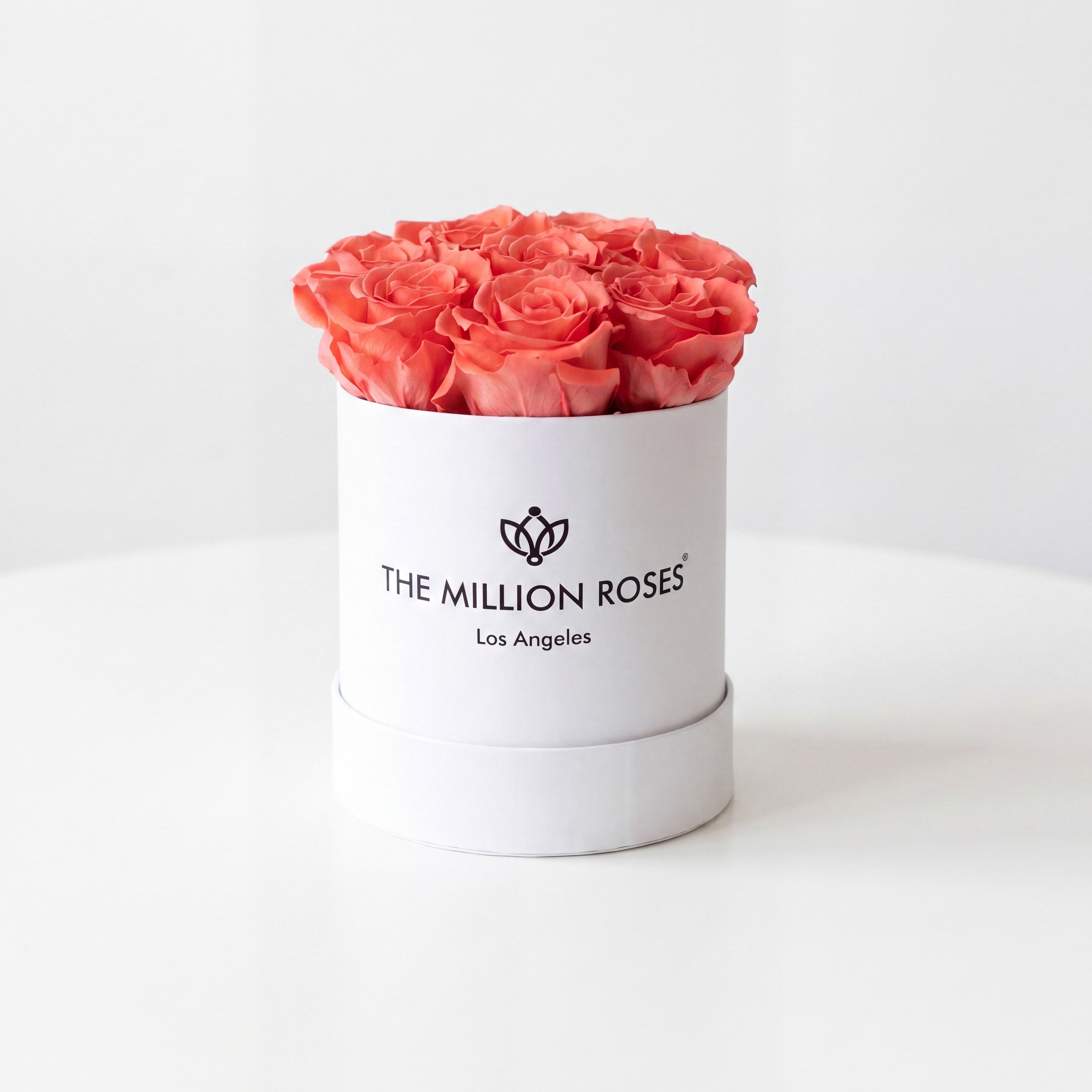 Basic White Box | Coral Roses