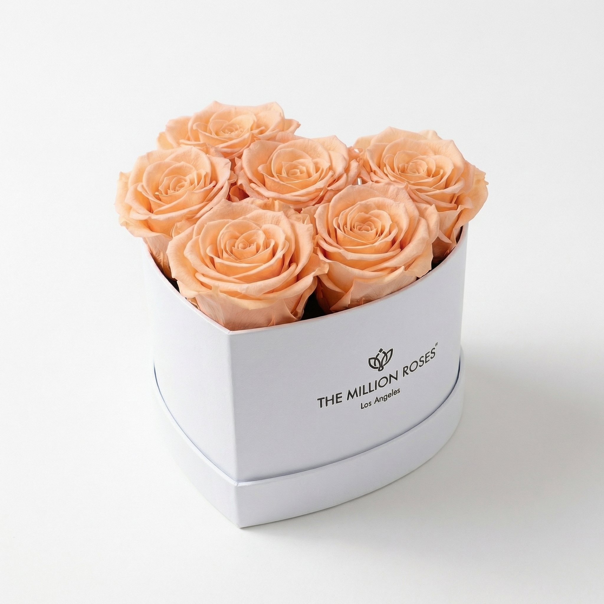 Baby Heart White Box | Peach Roses