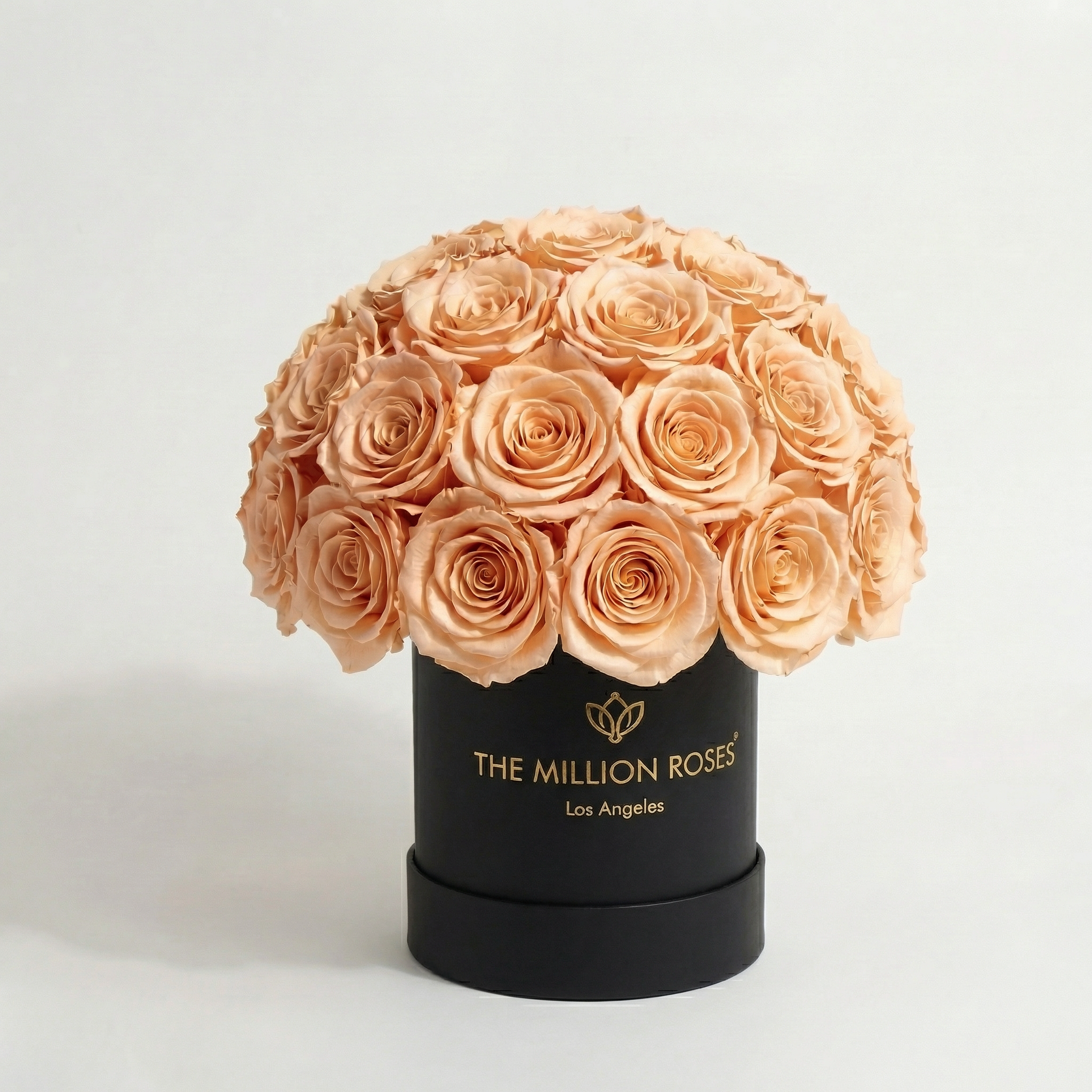 Basic Black Superdome Box | Peach Roses
