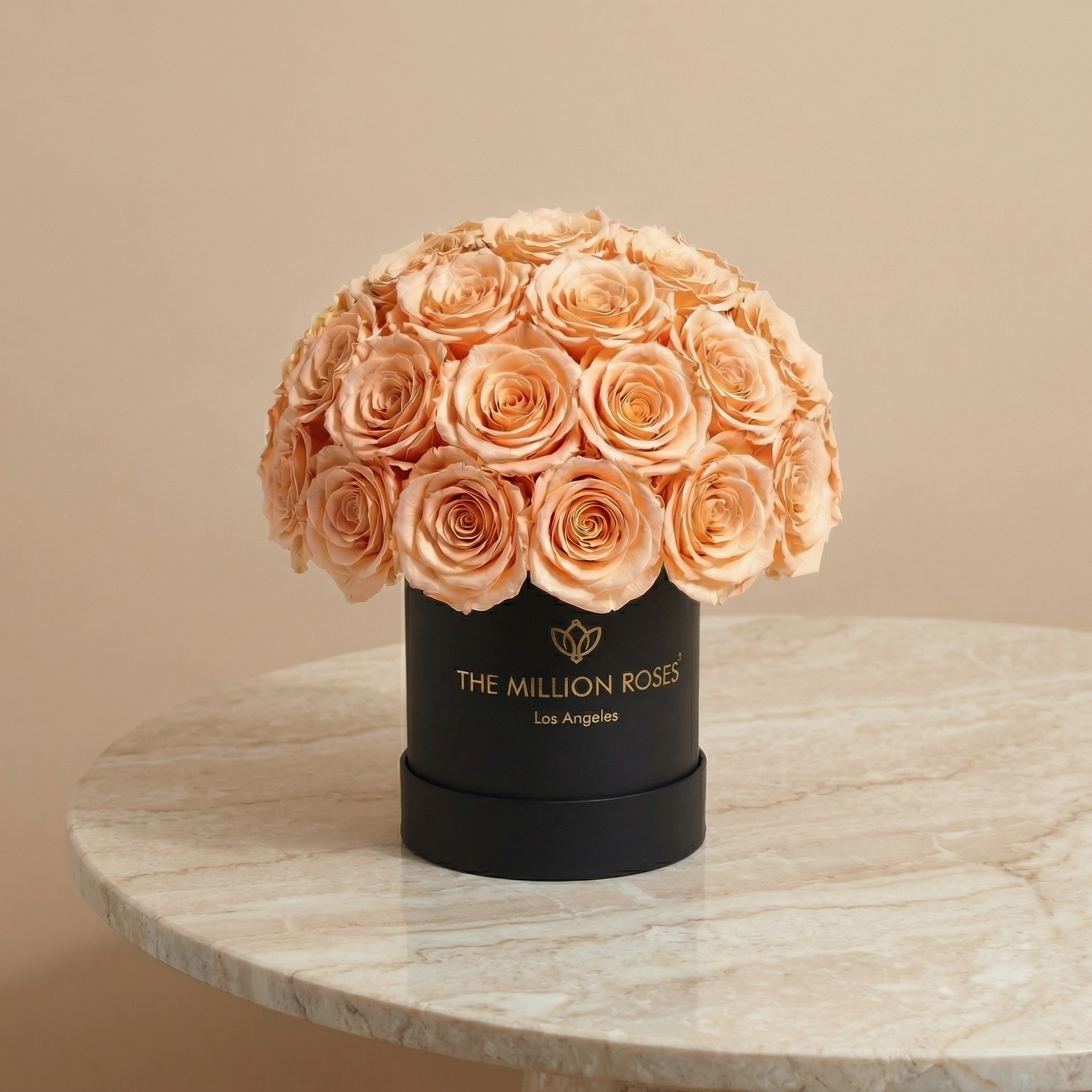 Basic Black Superdome Box | Peach Roses