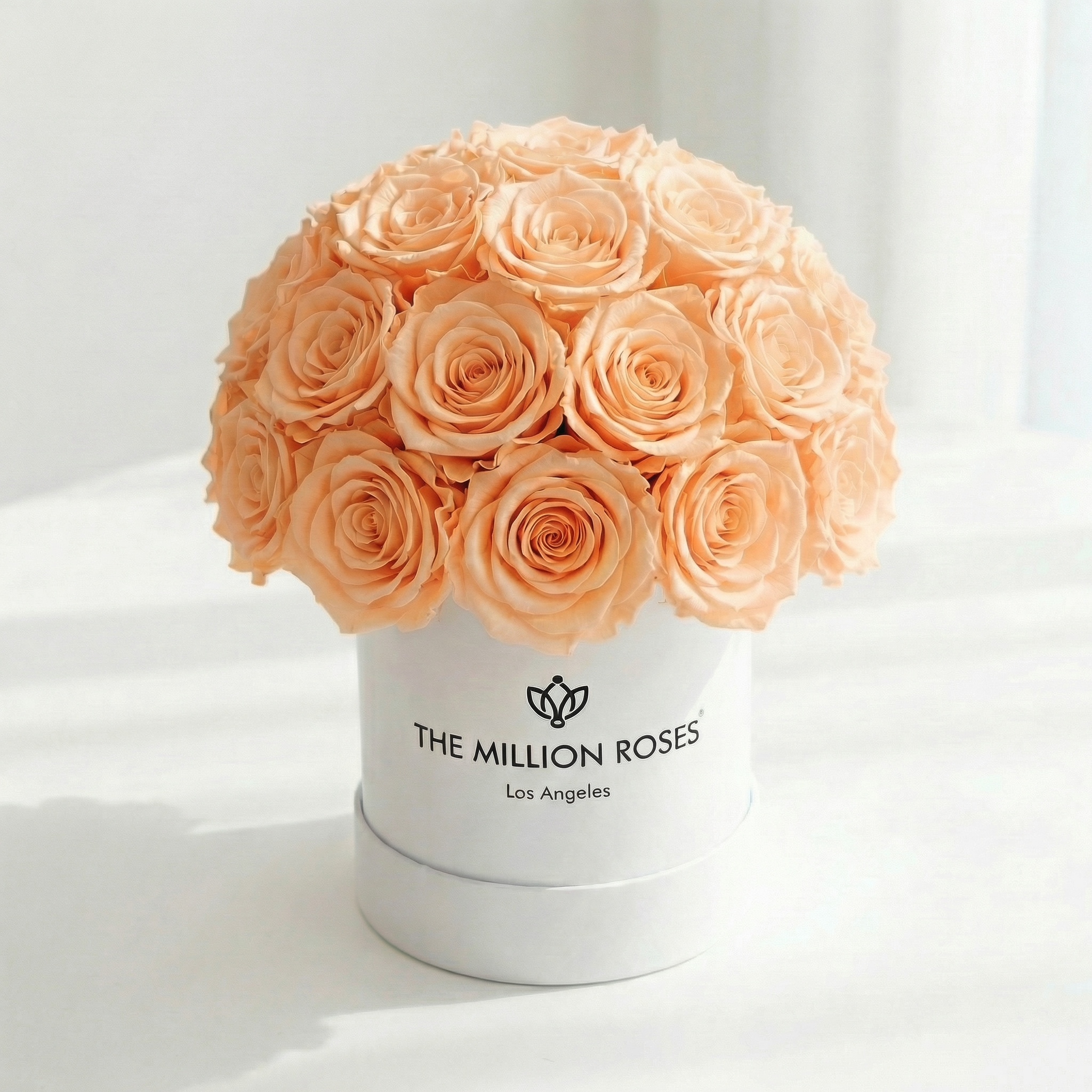 Basic White Superdome Box | Peach Roses