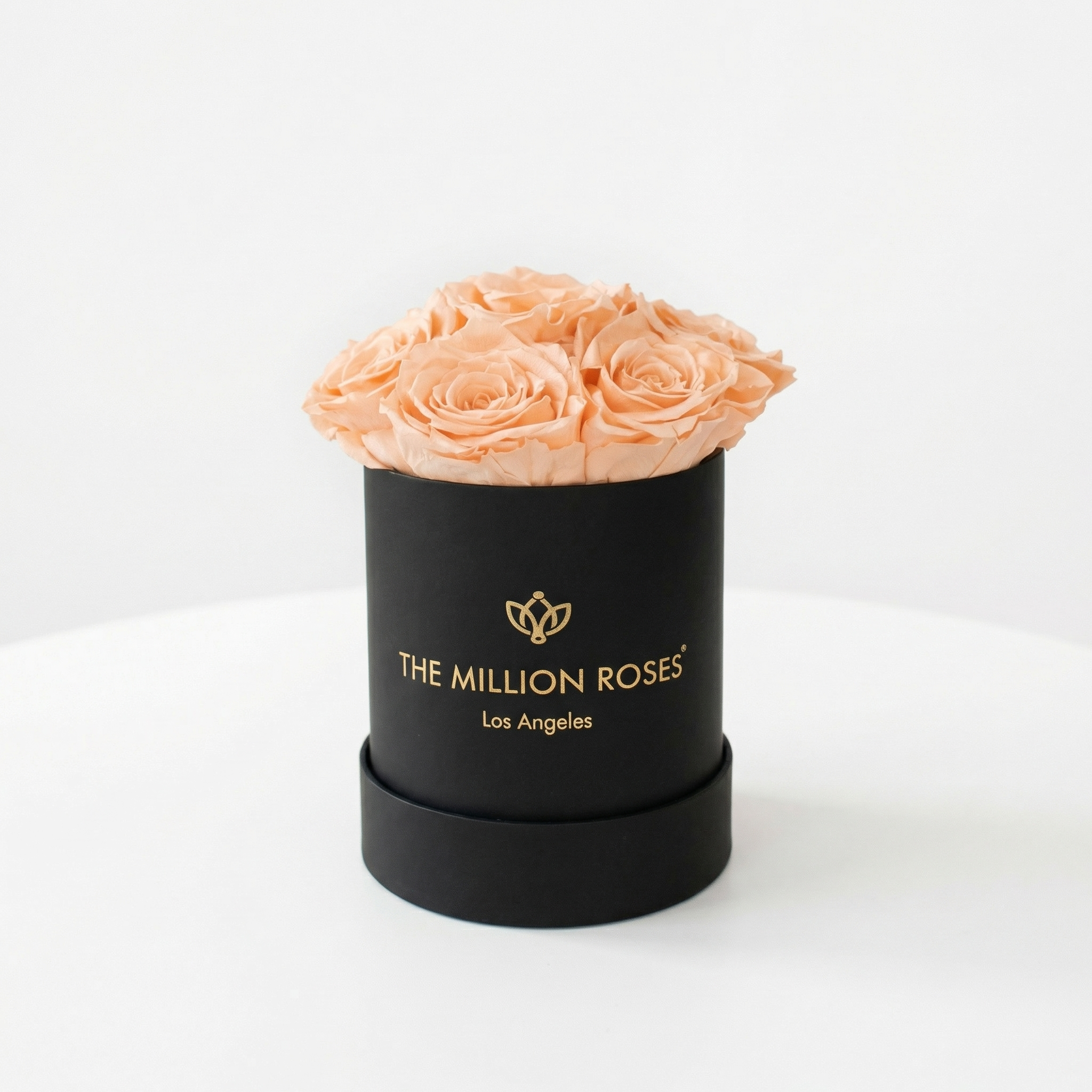 Basic Black Box | Peach Roses