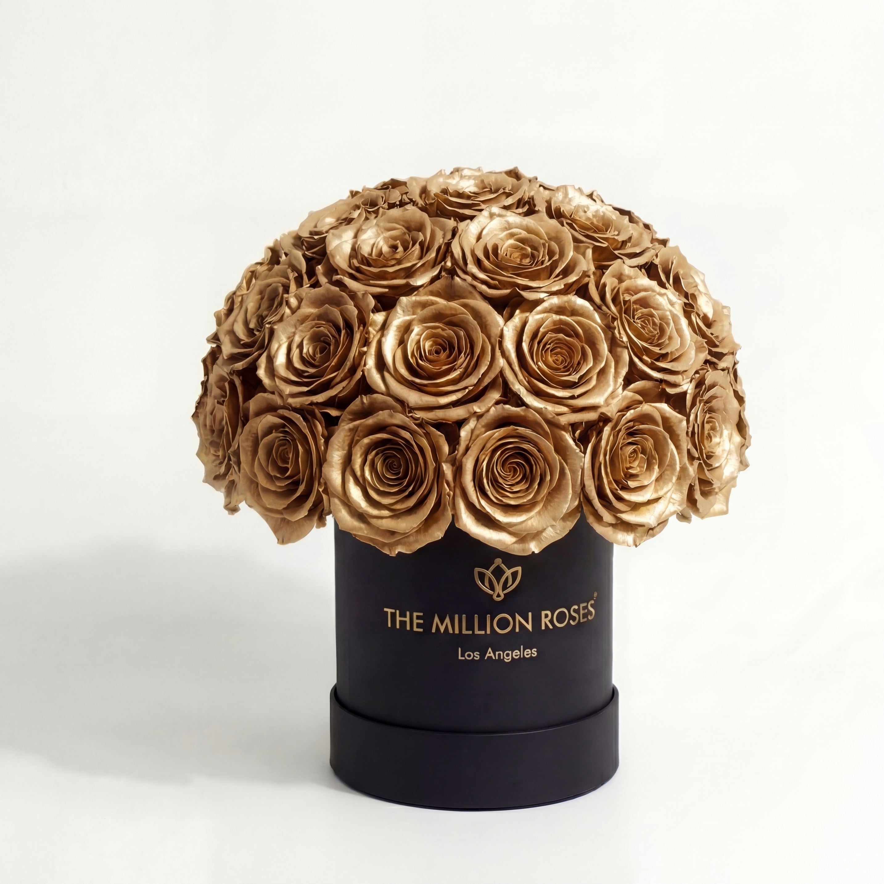 Basic Black Superdome Box | Gold Roses