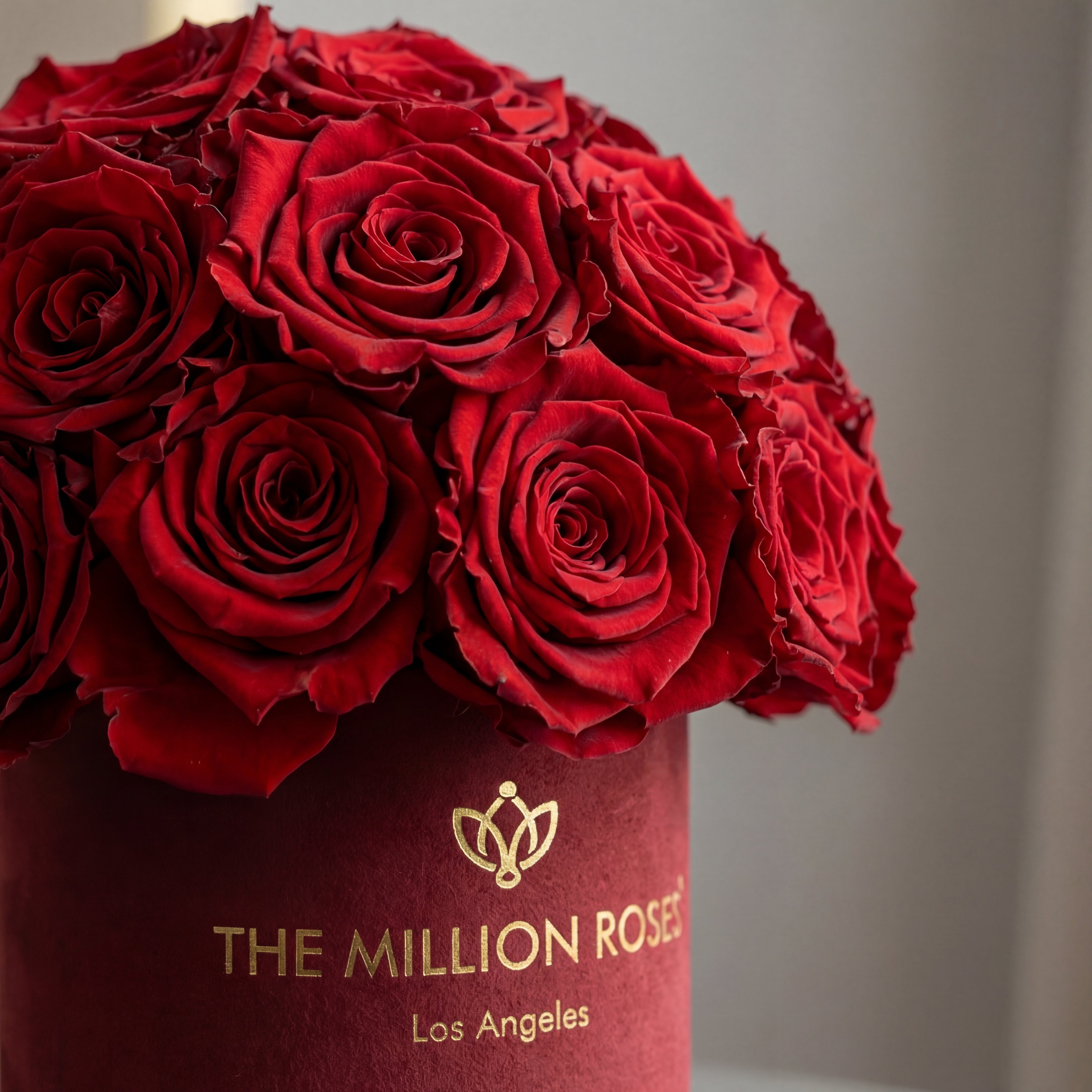 Caja Superdome de ante Burdeos básica | Rosas rojas