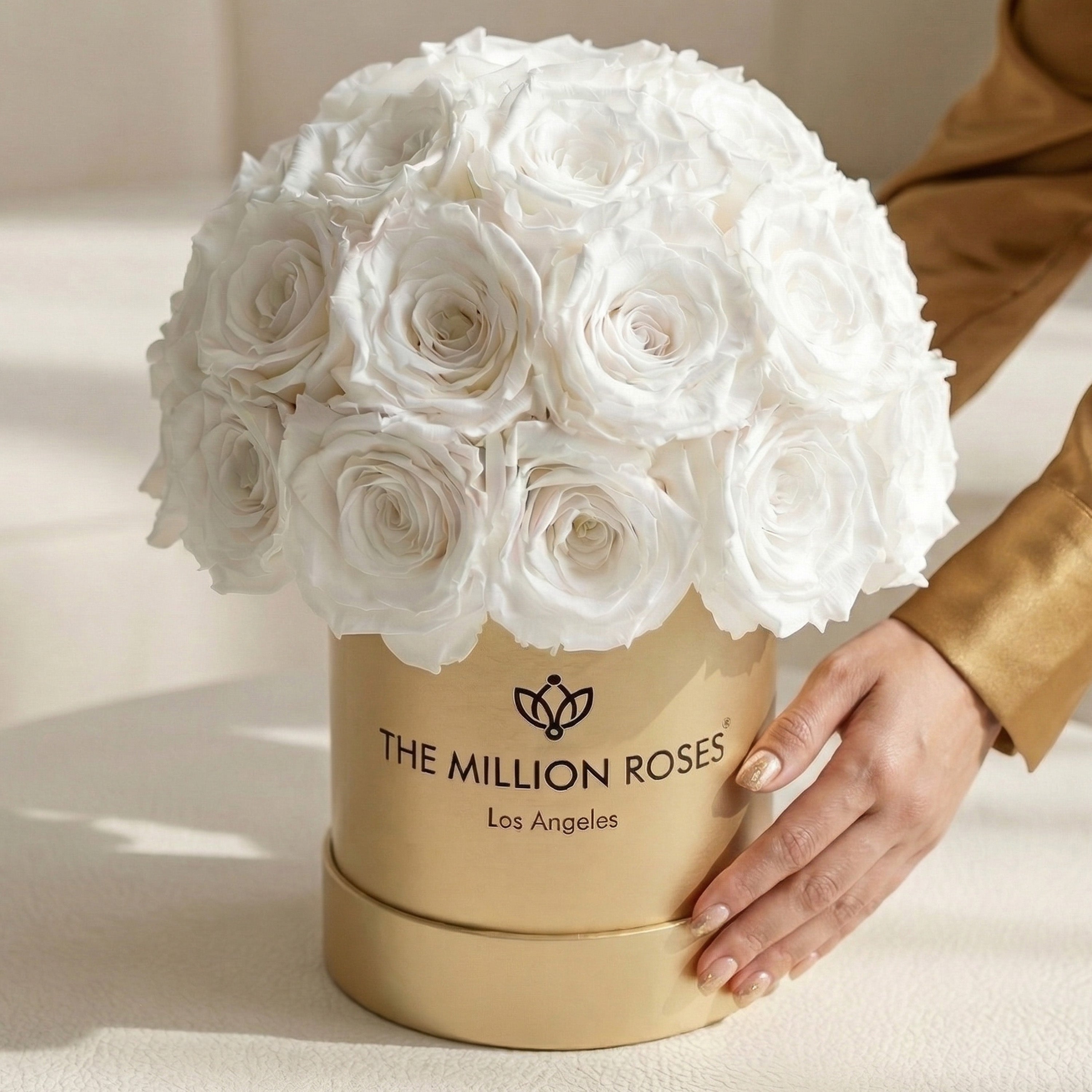 Basic Gold Superdome Box | White Roses