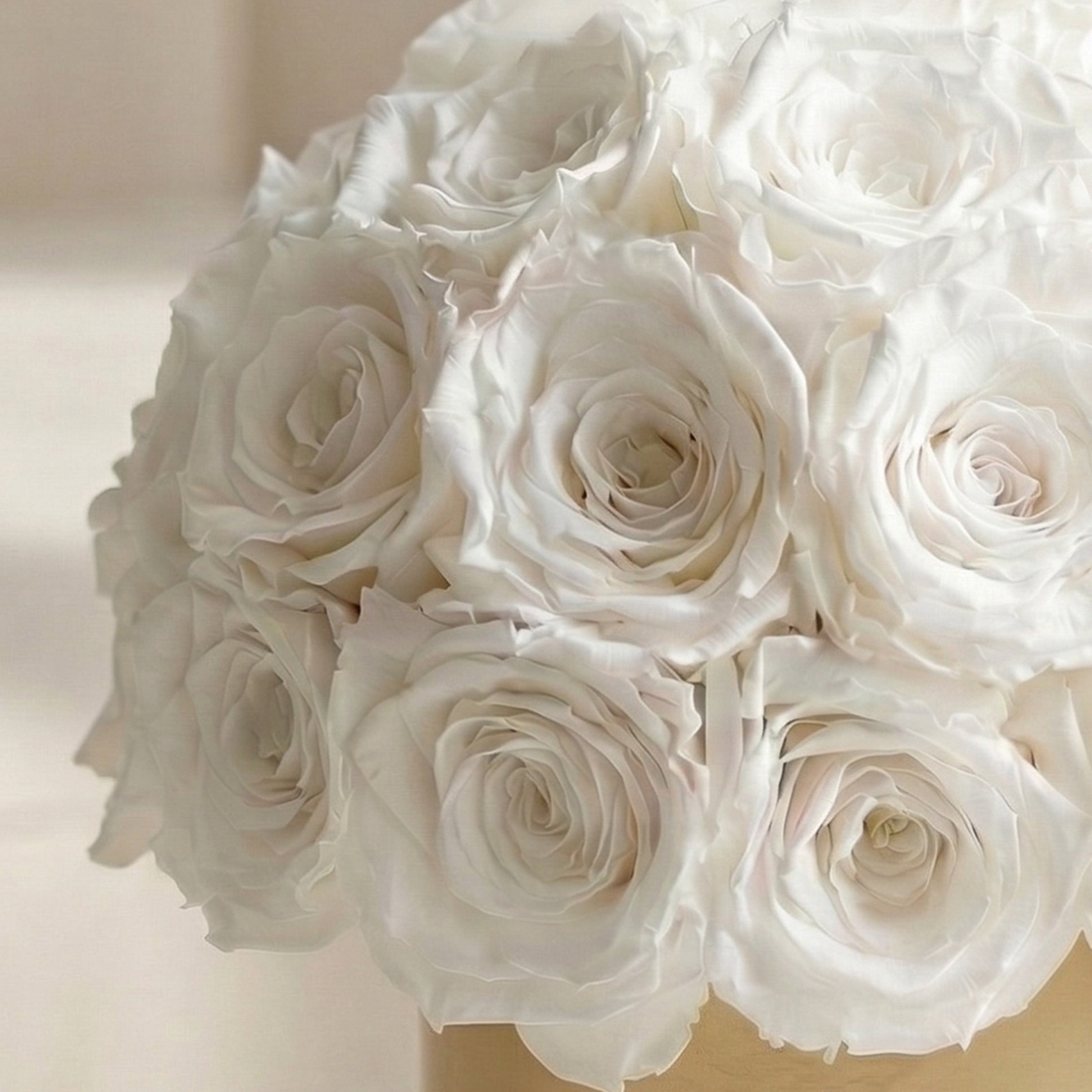 Basic Gold Superdome Box | White Roses
