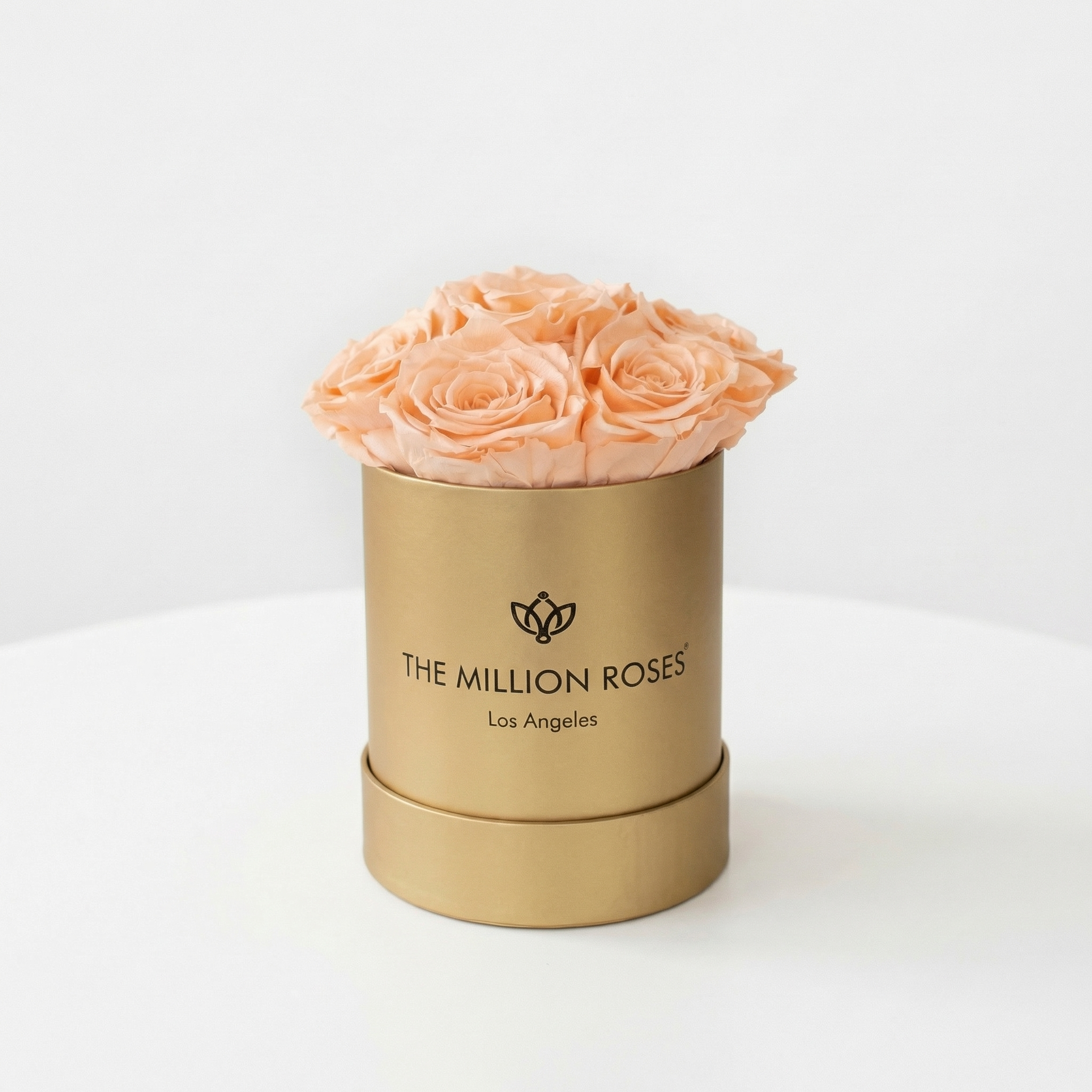 Basic Gold Box | Ivory Roses