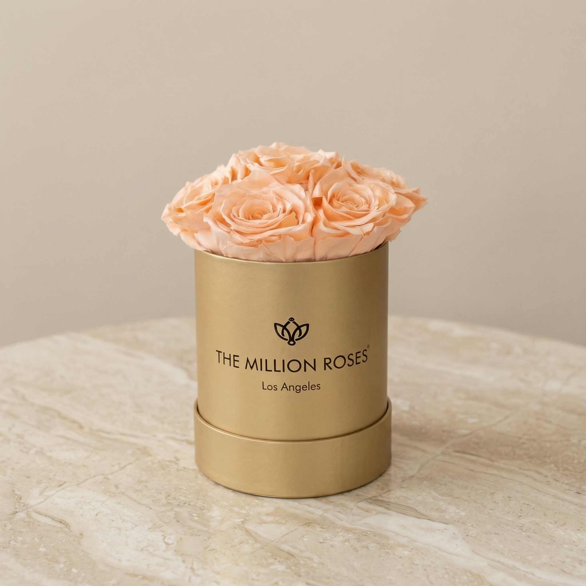 Basic Gold Box | Ivory Roses