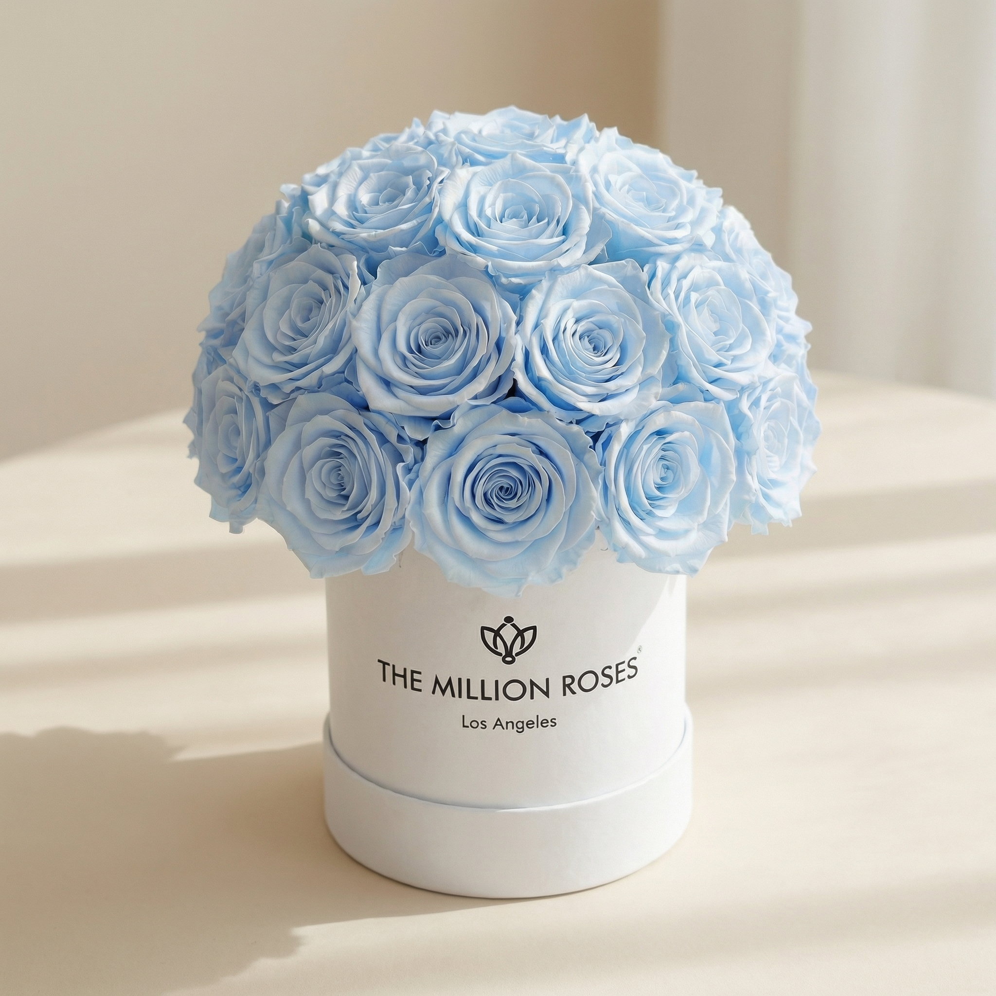 Basic White Superdome Box | Light Blue Roses