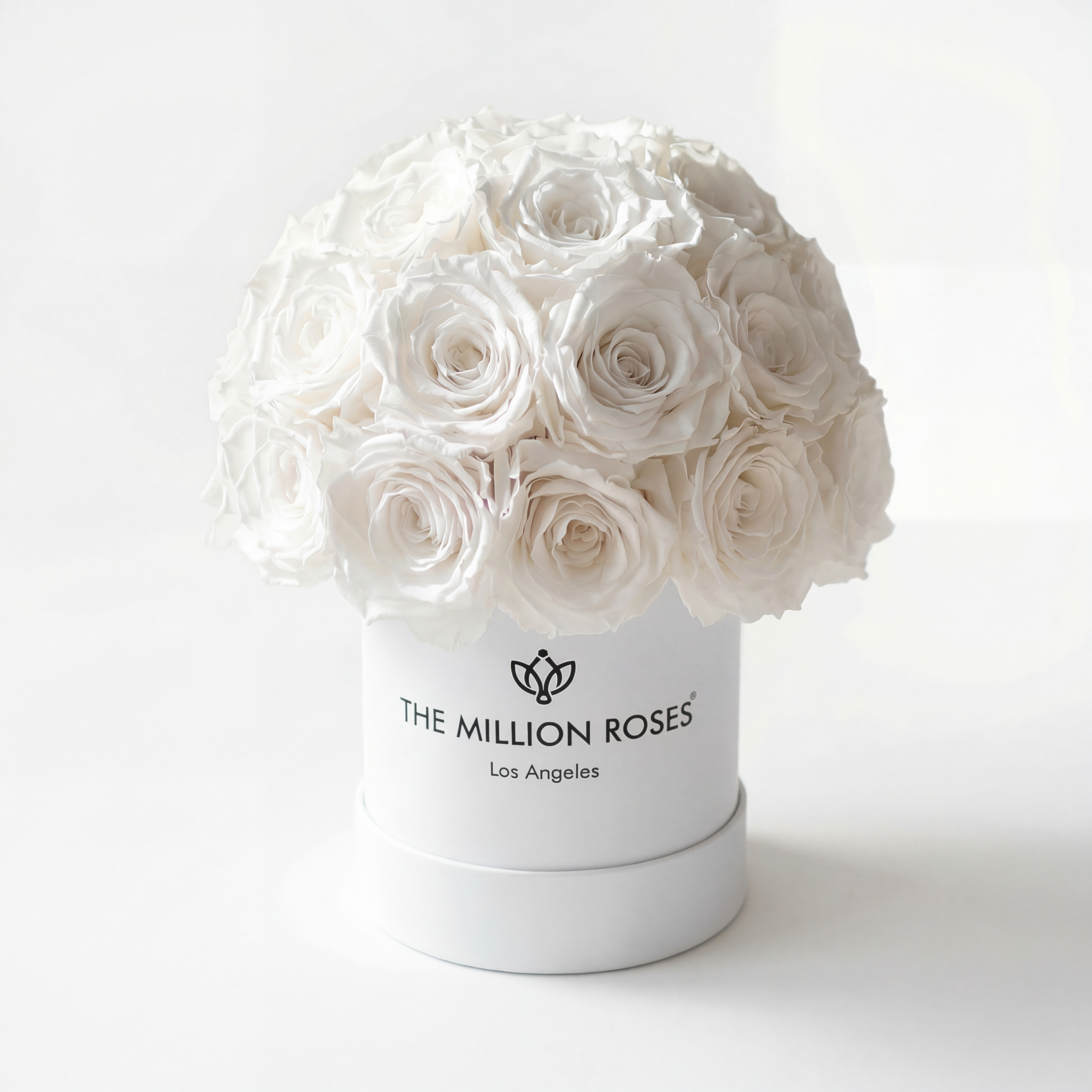 Basic White Superdome Box | White Roses