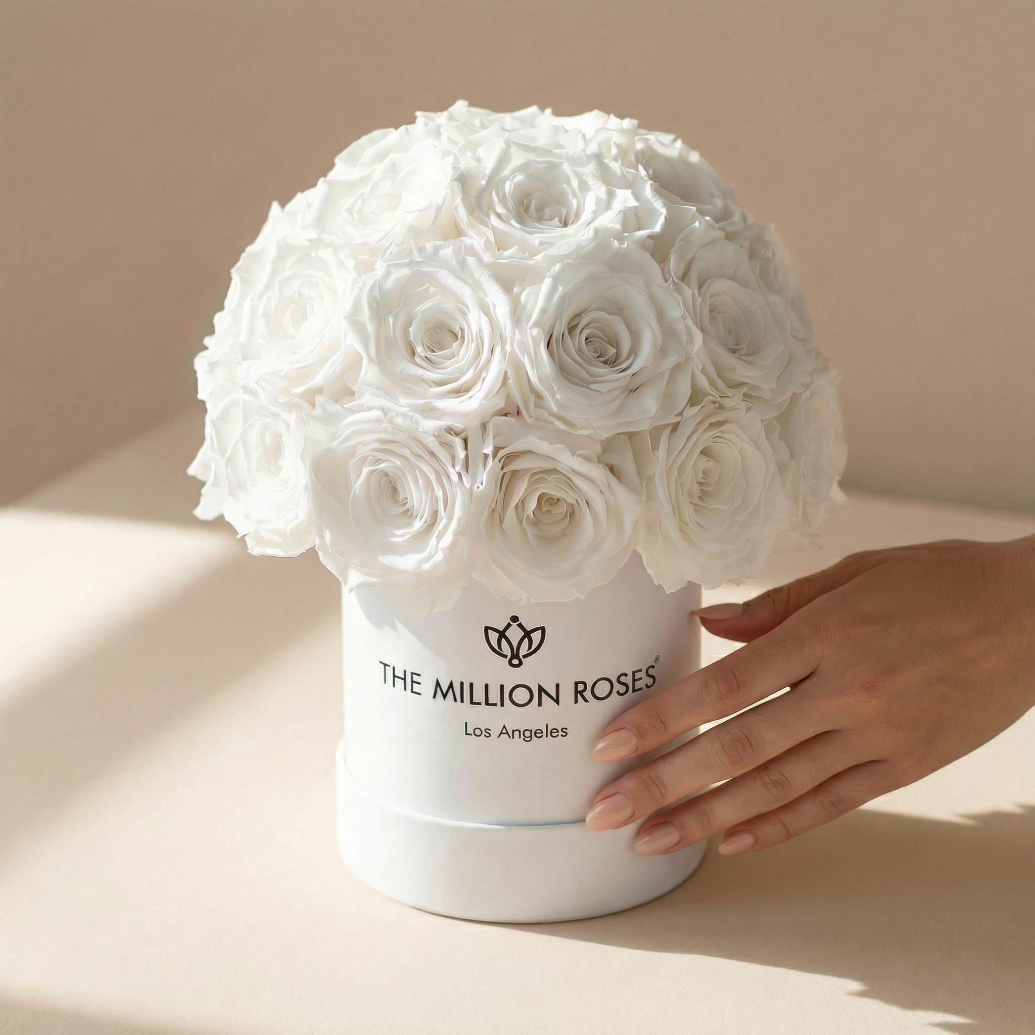 Basic White Superdome Box | White Roses