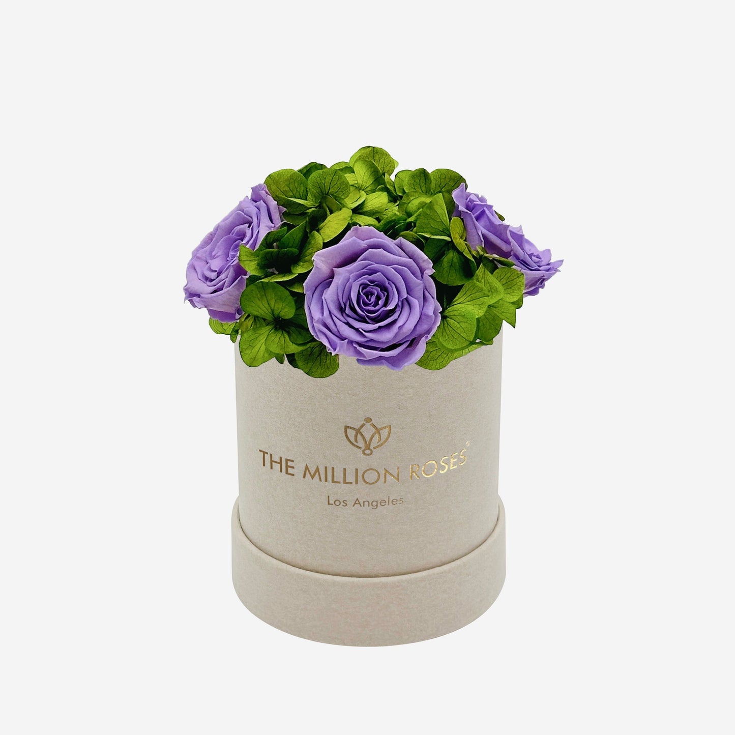 Basic Beige Suede Garden Box | Lavender Roses
